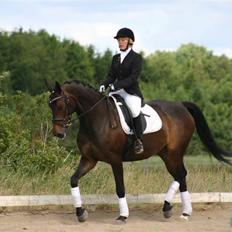 Oldenborg Safian's Gormline 