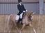Tysk Sportspony Golden Starlight SOLGT - Versade til landsstævne i Sundeved! Billedet er taget af: Coy´serne <3
