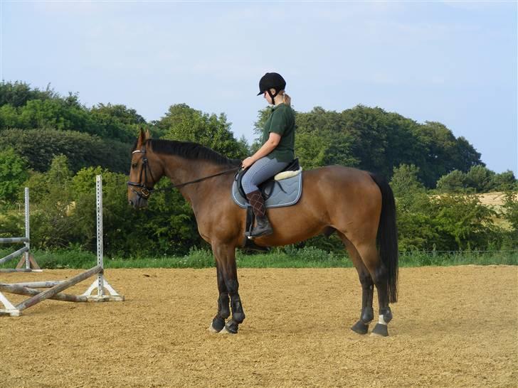 Anden særlig race Romeo R.I.P. - Parade billede 7