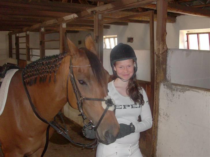 Anden særlig race Chiquitha R.I.P minskath† - Klar til at ride ned til ringridderbanen:) <3 billede 16