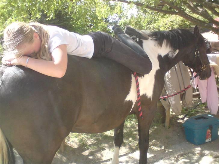 Anden særlig race Armarnis-Solgt :'( billede 19