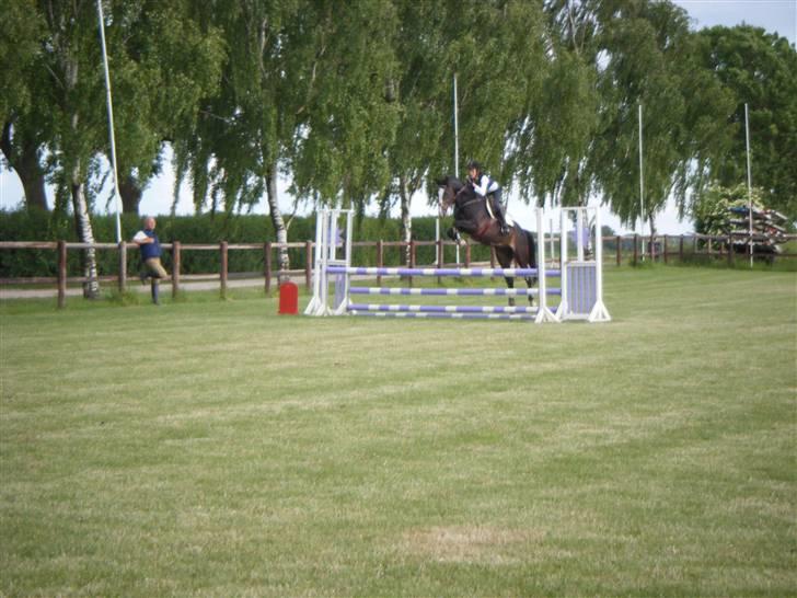 Anden særlig race Akishot Lildholdt - Undervisning på AGR ved Morten Augustinus - 100cm billede 14