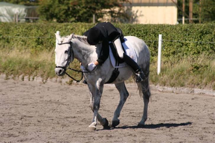 Anden særlig race Lucky Silver Star - Lucky fik lige et kæmpe kram, efter vi havde være inde på banen :) billede 7