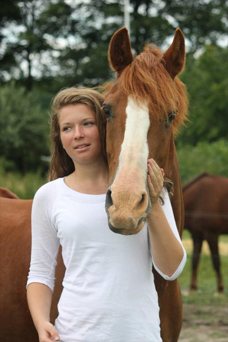 Sportsaraber (A) Sandy - Sommeren 2010 billede 14