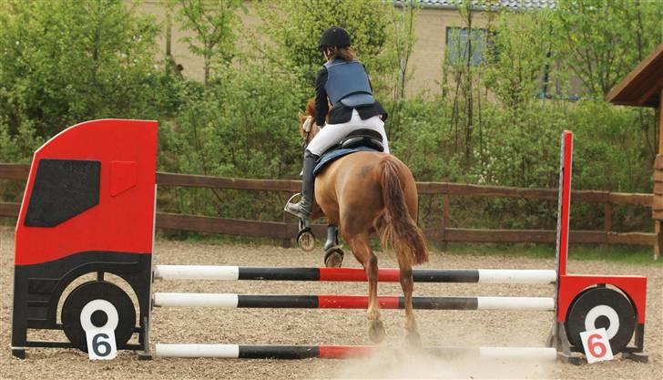 Sportsaraber (A) Sandy billede 17