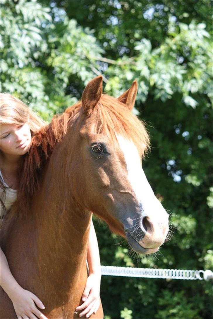 Sportsaraber (A) Sandy - my only one - when i go down, you will allways be there <3 billede 20