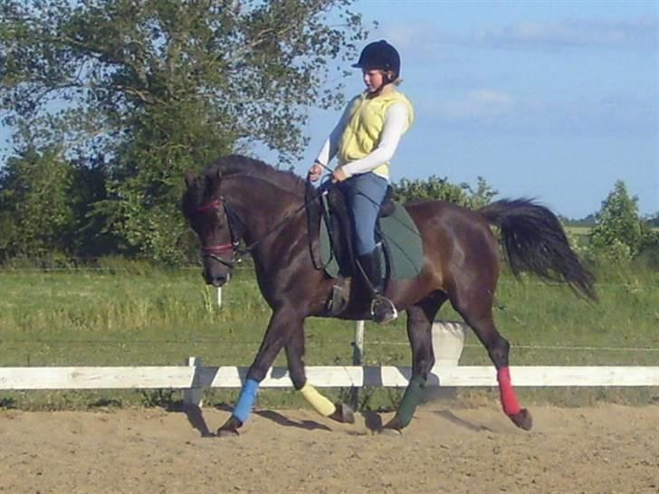 Anden særlig race Litus - farvelade :D billede 18