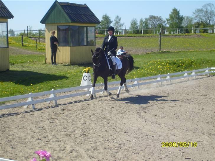 Anden særlig race Litus - Stævne i HOl. LB 1 som vi red til 67 % billede 19