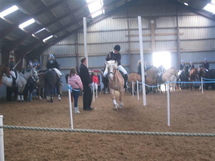 Tyroler Haflinger Lizette (RIP) - Det er faktisk sværere end det ser ud...at få det både hest, lanse og dig selv til at være præcis der hvor ringen er ;o)) i hvertfald for mig...det er jo hele 3 ting på en gang...det går virkelig ikke ;o)) billede 9