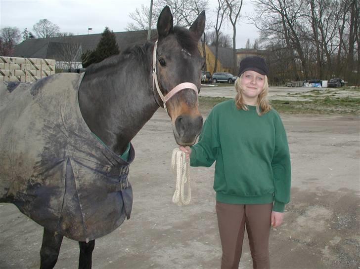 Anglo Araber (AA) BINE - Der har vi jo Bine og Mig igen :) Foto: Mette billede 18