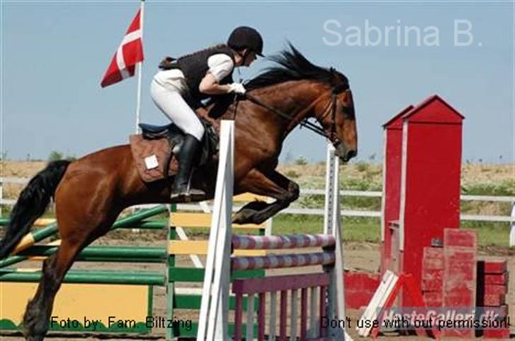 Connemara Killfield *R.I.P* - Billede 1: Distriktstævne i Nyk. F. Her springer vi LB. I LC´en blev jeg nr. 1 (som hest!) billede 1