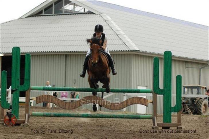 Connemara Killfield *R.I.P* - Billede 2: Distriktstævne i Nyk. F. Her springer vi LB. I LC´en blev jeg nr. 1 (som hest!) billede 2