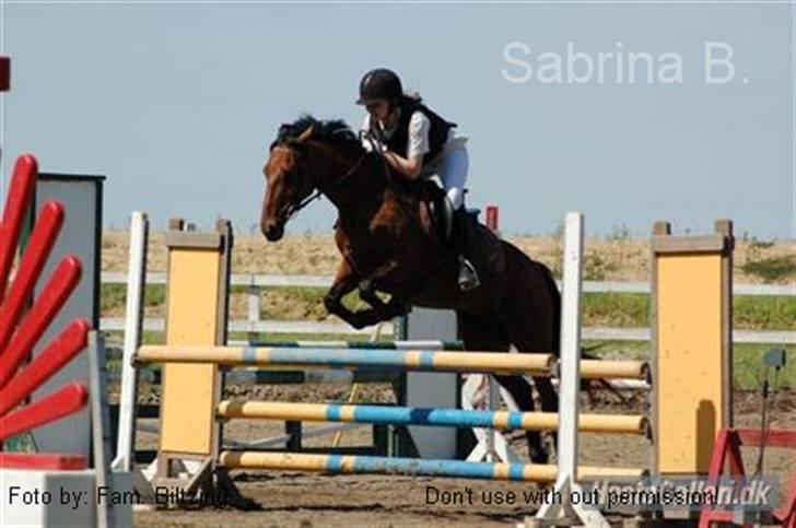 Connemara Killfield *R.I.P* - Billede 3: Distriktstævne i Nyk. F. LC, som jeg vandt (hest) billede 3