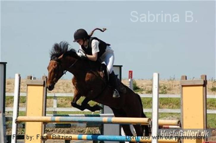 Connemara Killfield *R.I.P* - Billede 4: Distriktstævne i Nyk. F. LC, som jeg vandt (hest) billede 4