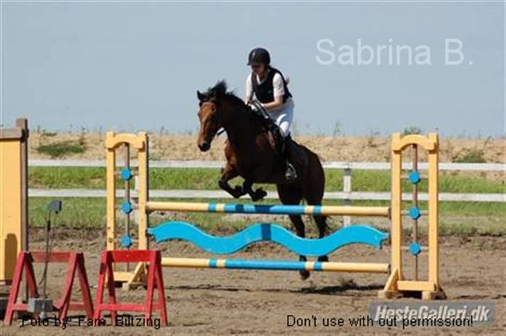 Connemara Killfield *R.I.P* - Billede 5: Distriktstævne i Nyk. F. LC, som jeg vandt (hest) billede 5