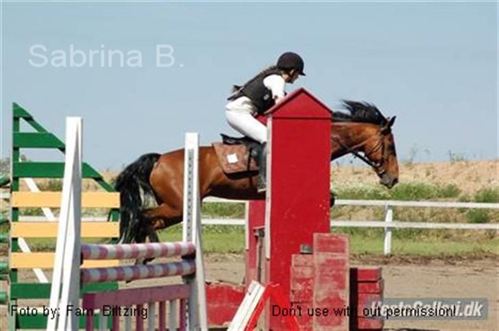 Connemara Killfield *R.I.P* - Billede 6: Distriktstævne i Nyk. F. Her springer vi LB. I LC´en blev jeg nr. 1 (som hest!) billede 6