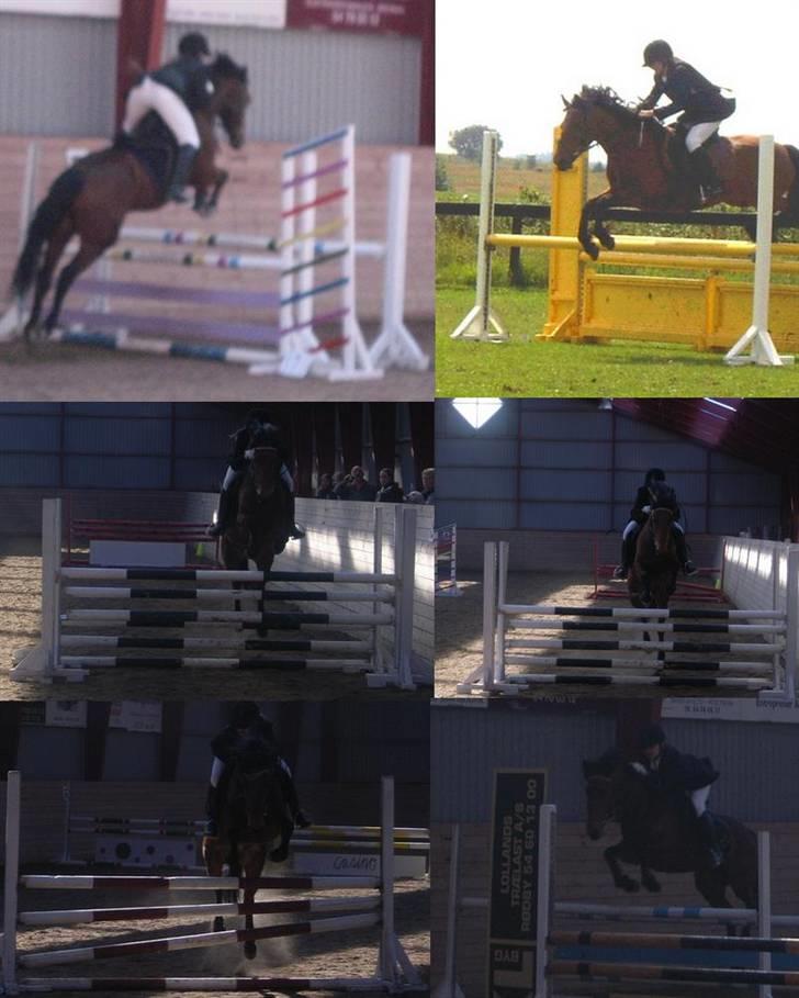 Connemara Killfield *R.I.P* - Billede 8: Lidt dressur træning billede 8