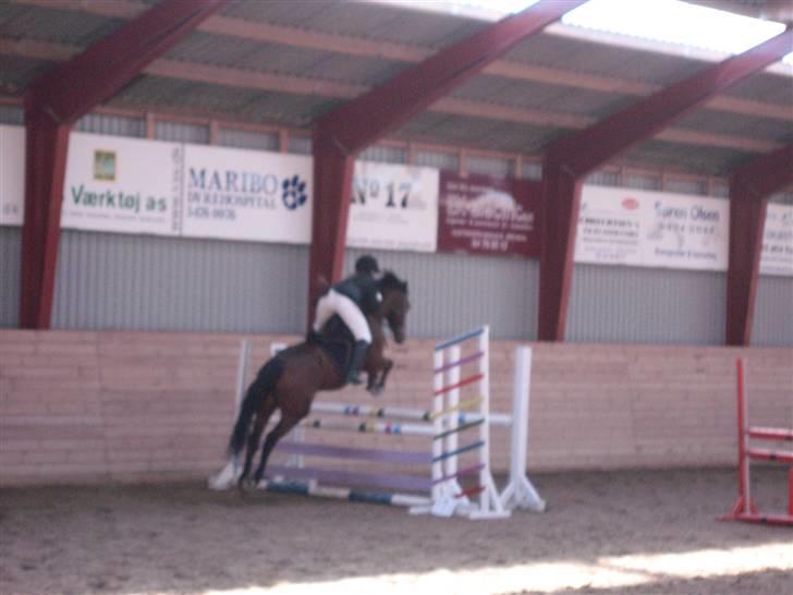 Connemara Killfield *R.I.P* - Billede 9: Stævne på MARK - Her springer jeg LD for hest billede 9