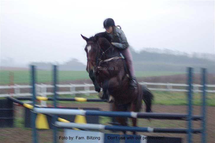 Dansk Varmblod Luna Macohl *R.I.P* - Billede 1: Da jeg prøvede hende, hos forrige ejer billede 1