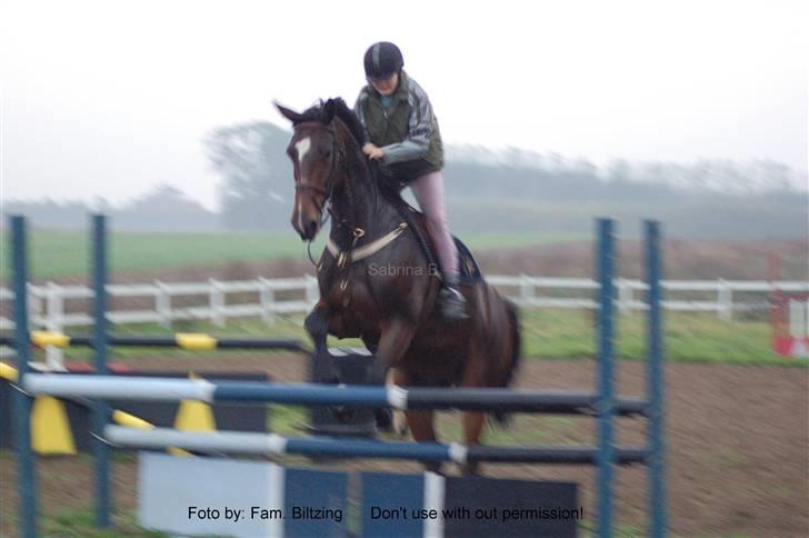 Dansk Varmblod Luna Macohl *R.I.P* - Billede 3: Da jeg prøvede hende, hos forrige ejer billede 3