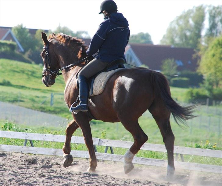 Oldenborg Alextho [Mors] - Mor og Alextho, undervisning 24. maj 2010 Alexthos fødselsdag;D Foto: Team MP <3 billede 14