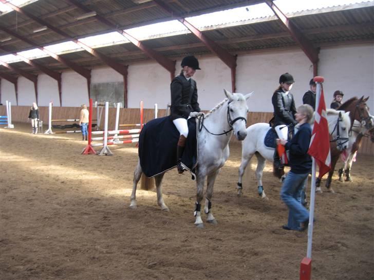 Anden særlig race Casper  - Casper & jeg i LC klubmesterkval. 1 plads billede 16