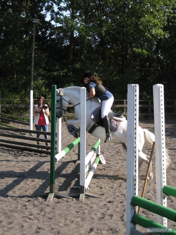 New Forest Firfod Aida <3 - Stævne på LRK 70 hun travede over det spring og ellers løb hun fint men 0 fejl og en super sød pony som redder mig hver eneste gang. Hun var fin vi havde bedste tid i 60 men det var sløjfe. Billedet er taget af Chrille billede 5