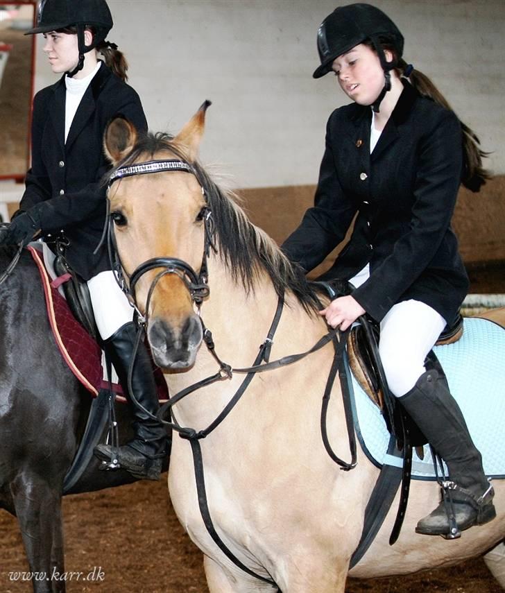 Anden særlig race *HIMMELHEST* elevhest Laban! - til premieoverrekkelse 3 plads, elsker dig, sidste stævne :´( billede 14