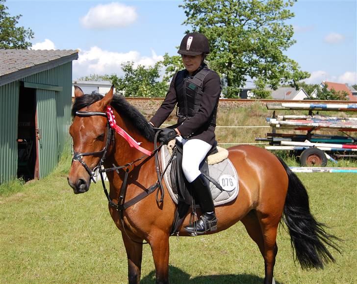 Anden særlig race Ofelia - Lb i ribe for den pony er fantastisk <3. { sidste stævne :/ } billede 6