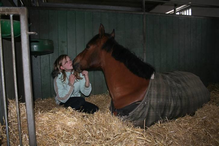 Anden særlig race Ofelia - center foto billede 8