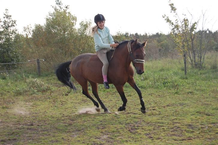 Anden særlig race Ofelia - mm foto billede 10