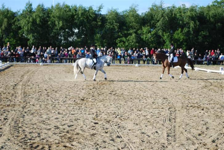 Connemara Banks Miro - Mig og Miro og Tit og Fiona red pas de deux til Kærbo´s royale arrangement (; billede 11