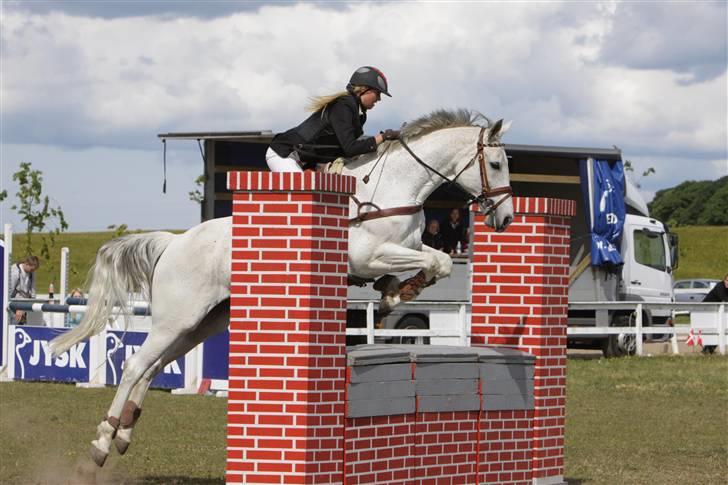 Hannoveraner Ferrari. - #20 springer mur for første gang. lindegården juni 09. vandt klassen. foto, brian sølvsten billede 20