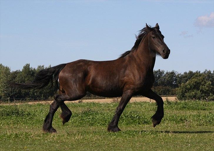 Frieser Nardia - Fotograf: Mig selv billede 6