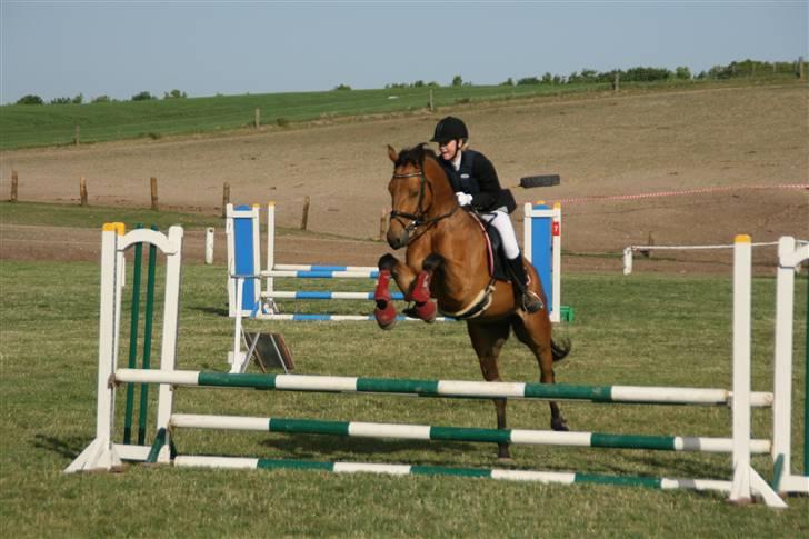 Anden særlig race Prince Charming  - Charming og jeg til vores første spring stævne, :P billede 20