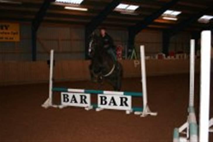 Anden særlig race Gambler - 10# Spring time den anden.. billede 10