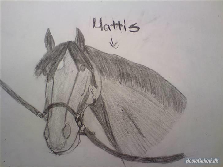 DSP Mattis - 18#  Bedste veninde har tegnet ham<3 billede 18