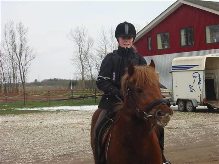 Anden særlig race Laban billede 3