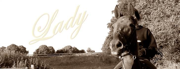 Traver Lady vangsgaard Solgt. - > I <3 Lady <  09/6-09  billede 10