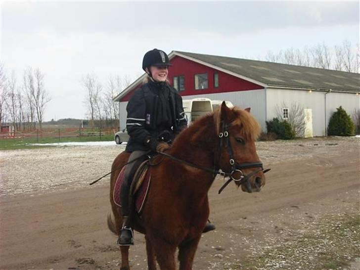 Anden særlig race Laban billede 10