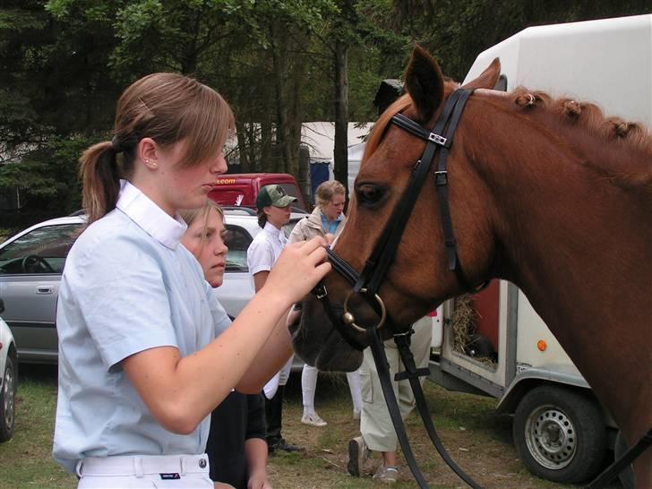 Anden særlig race Bastian ( SOLGT )  billede 11