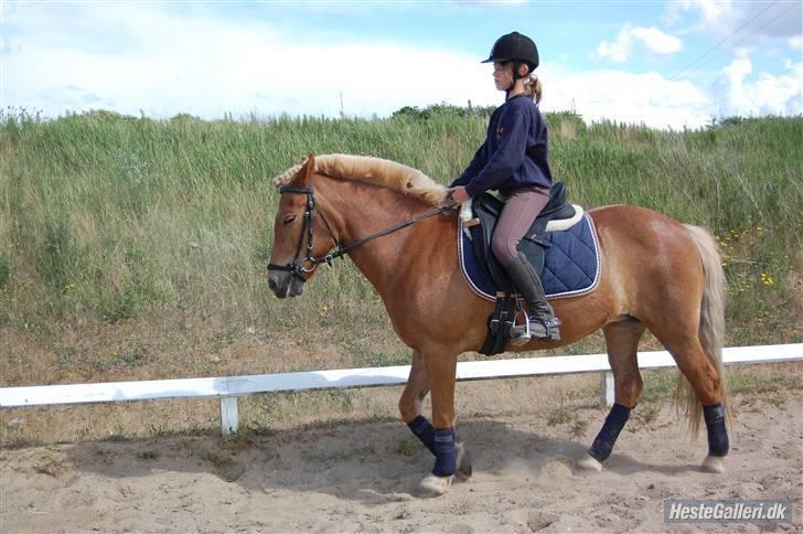 Anden særlig race Andrea <3 - Gl. Part :'/ billede 20