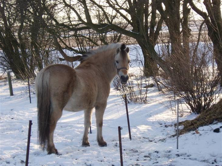 {{currentPhoto.altText}} billede {{currentPhoto.number}}