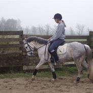 Anden særlig race Lady - SOLGT