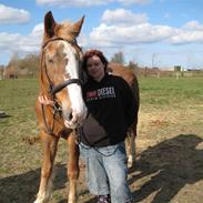 Anden særlig race Lape`Lome *Part* SOLGT