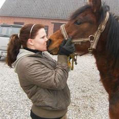 Anden særlig race Kings Champion. ( SOLGT )