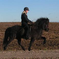 Islænder Askja fra Godthåb