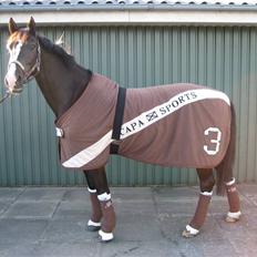 Dansk Varmblod Malue Åbo