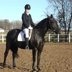 Anden særlig race Blackie