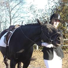 Anden særlig race Blackie